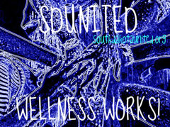 Wellness Works Iniative